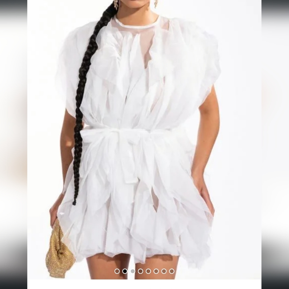 Ruffle mini dress - Picture 2 of 6